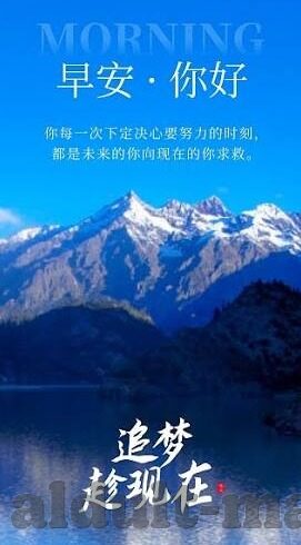 大象麻豆天美传媒-探索多元文化视角下的网络内容与创意表达