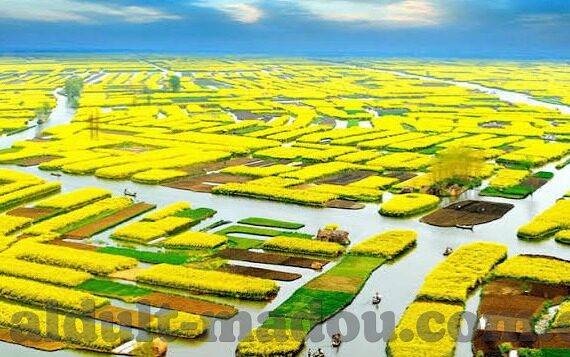 国语精品一区二区三区-探索国语精品一区二区三区的文化魅力与价值