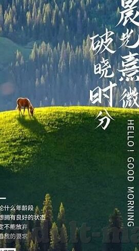 类似麻豆传媒的app-多维视角下的网络内容监管——以类似麻豆传媒的APP现象为例