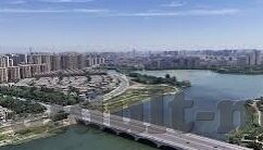 麻豆传媒在线视频网-麻豆传媒——在数字乐园中探寻多样文化视角