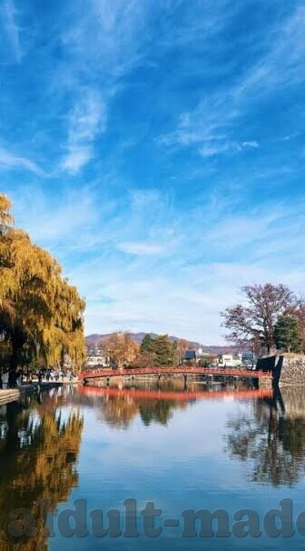 日韩av小说-日韩AV小说，文化、艺术与市场探索