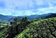 日韩视频一区二区-探索日韩视频一区二区的文化与艺术视角