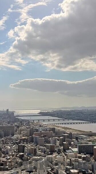 糖心app免费版安卓-重塑数字娱乐新境界，糖心app免费版安卓深度体验