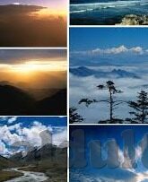 糖心app免费下载安装-轻松解锁数字新体验 —— 糖心app免费下载与安装指南