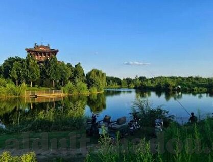 糖心app平台-解码糖心APP，融合社交与娱乐的数字新乐园