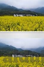 糖心vlog app-糖心Vlog，记录生活，演绎独特之美的潮流App